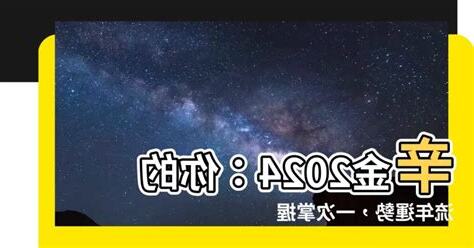 辛金 2024
